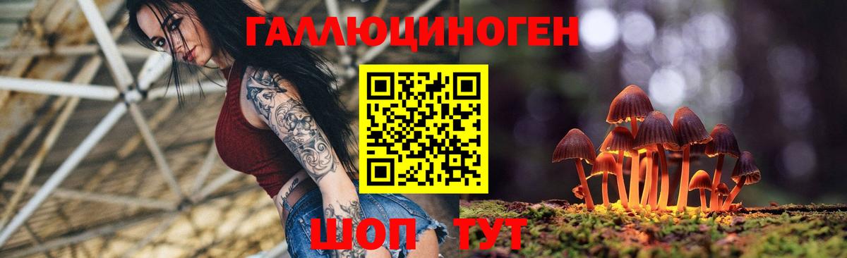 Галлюциногенные грибы прущие грибы  Вход с VPN  Можга 